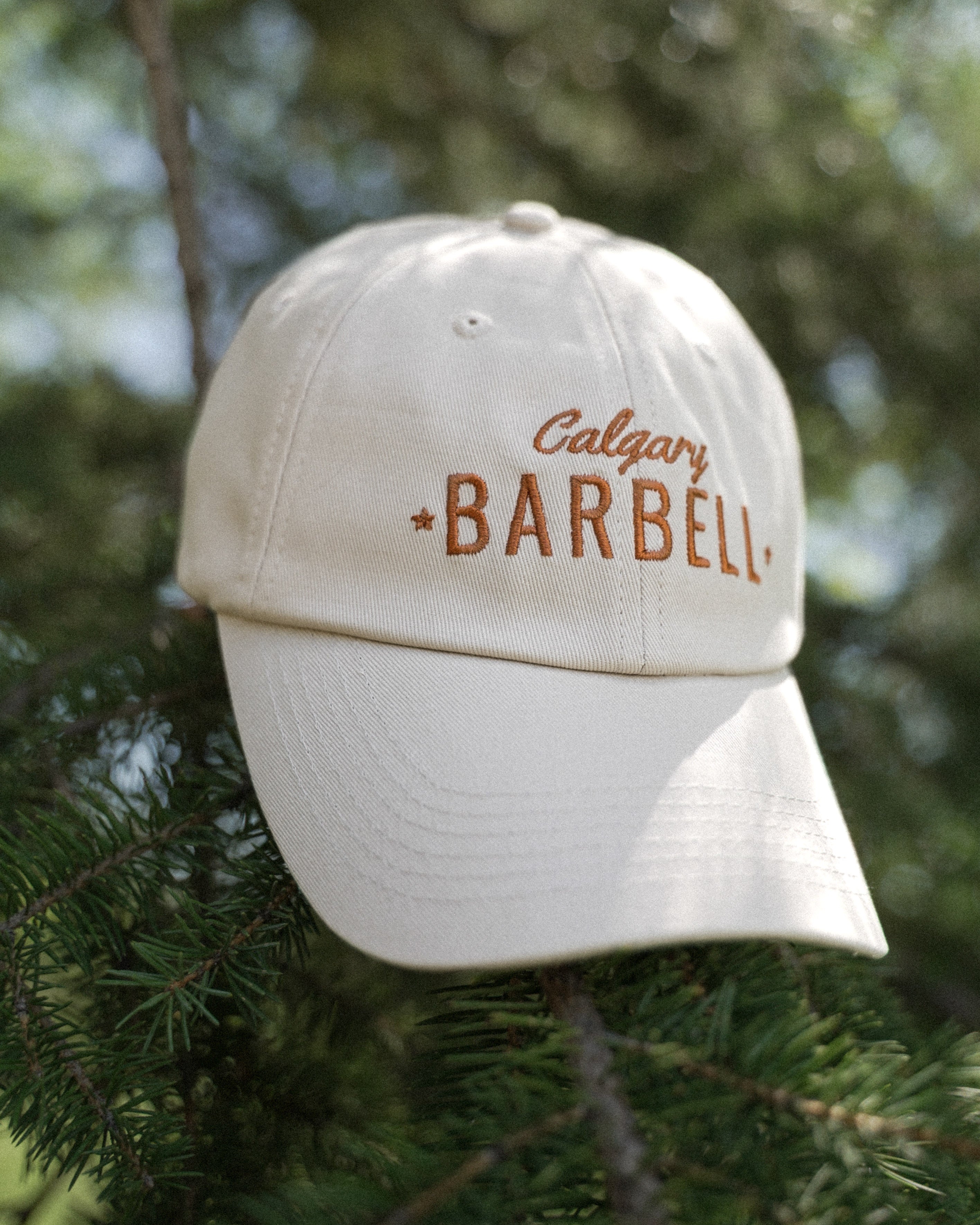 Mountain Dad Hat