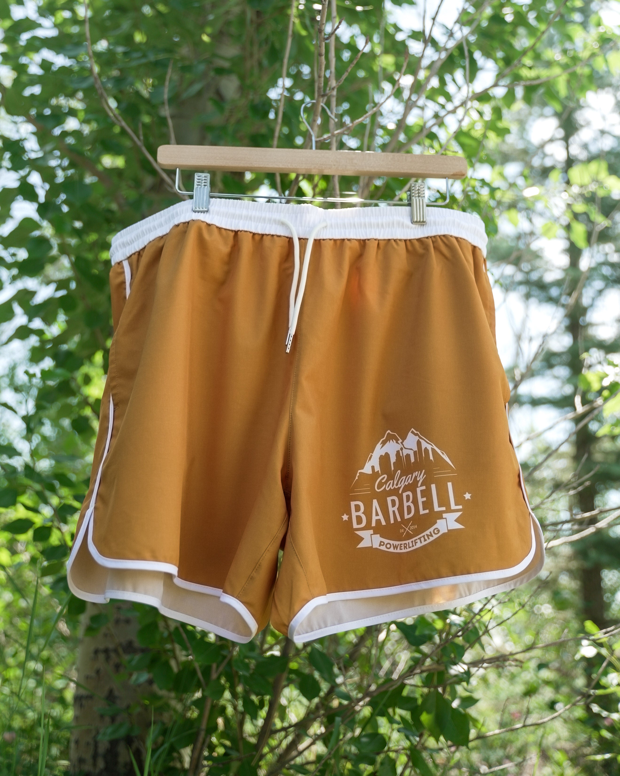 Sky's Out Thighs Out Mountain Shorts